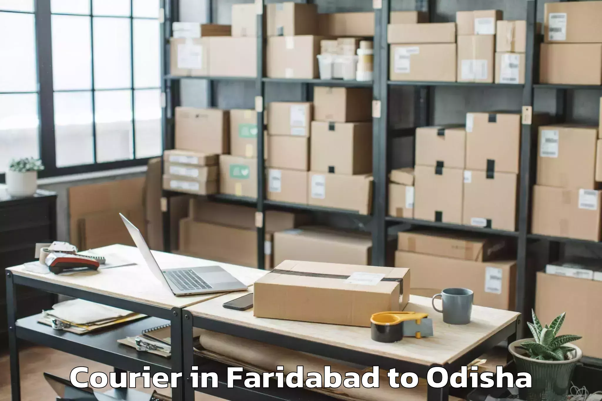 Book Faridabad to Phulbani Courier Online